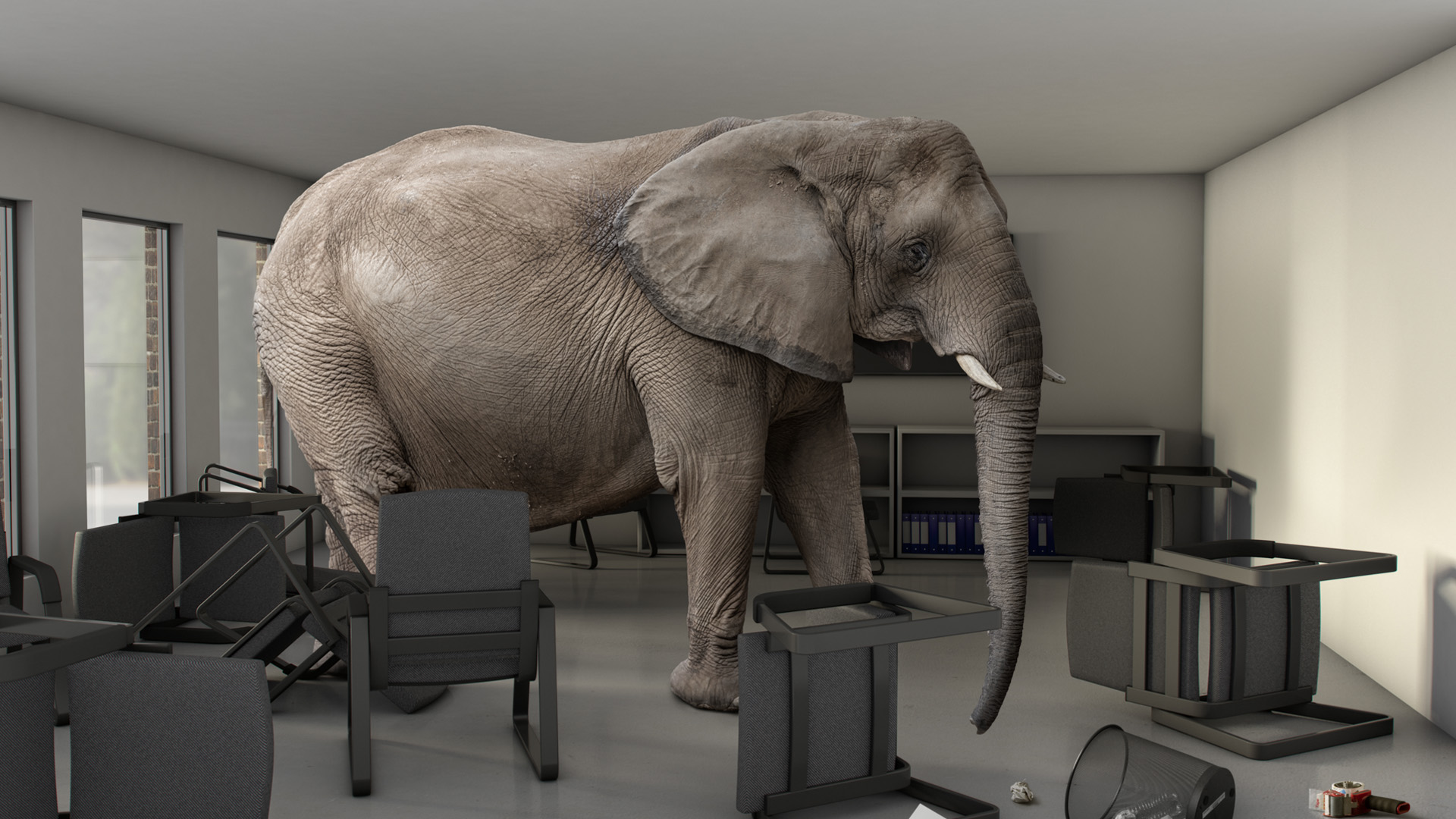 The Elephant In The Room Nature Needs More   IStock 666193868 1920by1080 