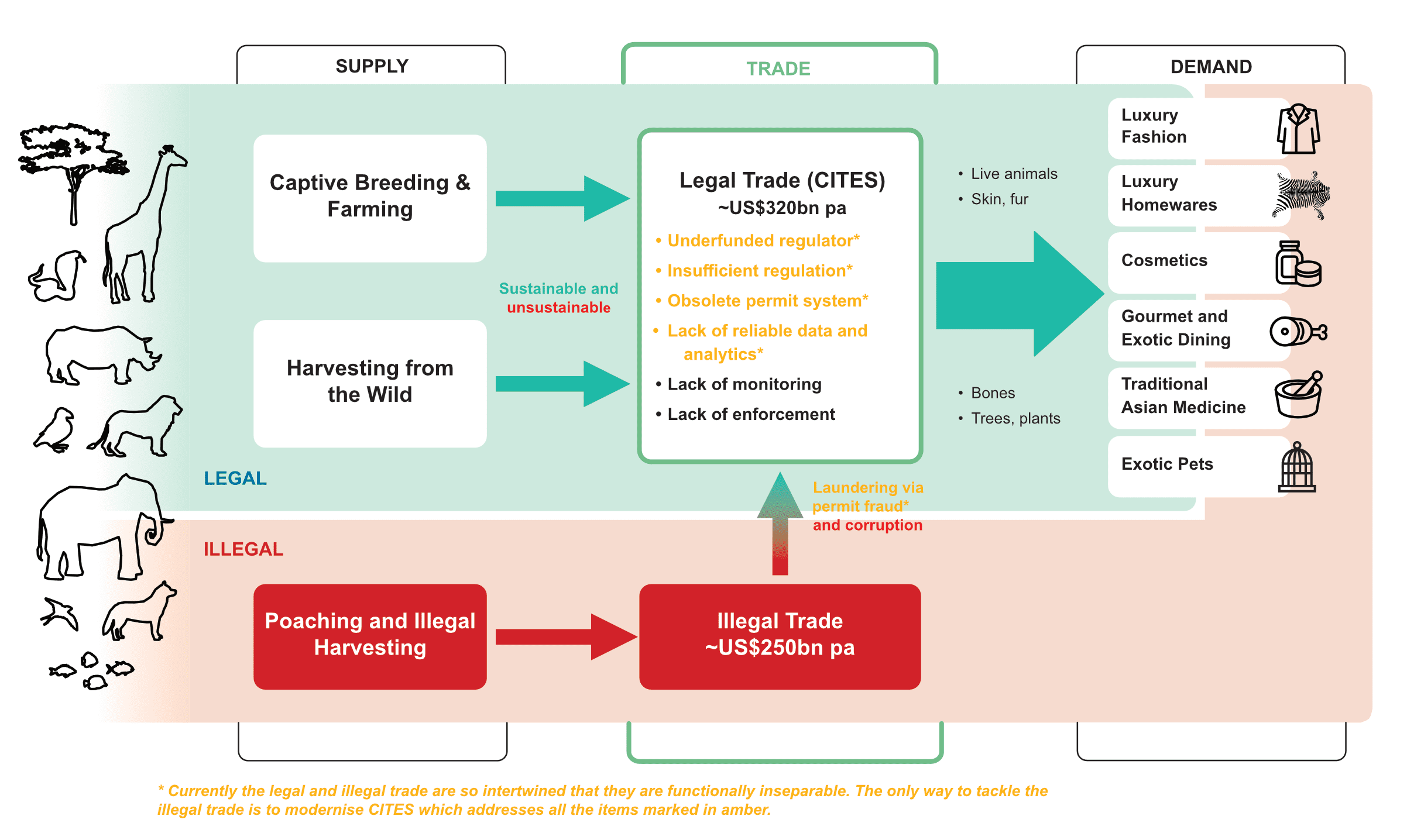 NNM Trade Overview – Generic Version Website blogs and social media