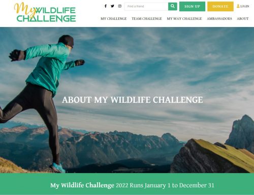 My Wildlife Challenge